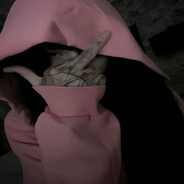 king - steam id 76561198999672397