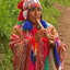 El Coya