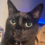 Binx