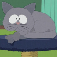 Mr. Kitty