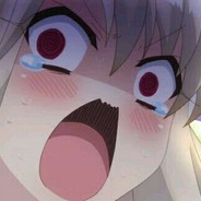 是鹤飞不是合肥