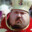 Arcybiskup Grzegorz