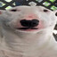 T1teer