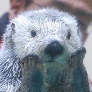 吐泡泡的娃娃机