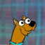 Scooby doo