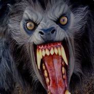 WolfAlec - steam id 76561197965594188