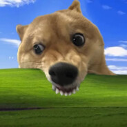 凌晨九点去偷猫