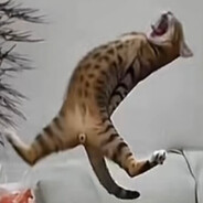 Sed_