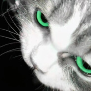 我突然释怀的笑