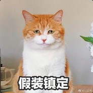 我只是一只小猫咪