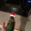 microwaved my festive bird