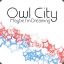 Owl City (Maybe I&#039;m Dreaming)