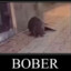 Bober™