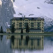 小红小红小红象