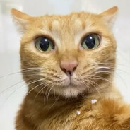 怒从心中起，恶向胆边