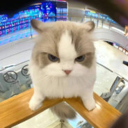 韩