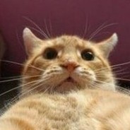 PufikRemake Steam avatar