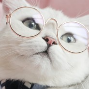 ночной совенок