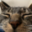 Megladon's avatar