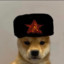 Communist Dog