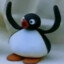 NOOT NOOT