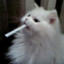 synce