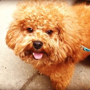 人心不足蛇吞象