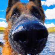 穷塔山富大云王八犊子