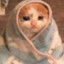 sad cat hours