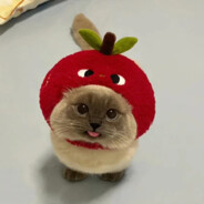 Rosen - steam id 76561198301009896