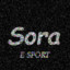 Sora