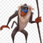 Rafiki aste a ver