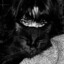 LUCIFER