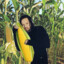 Korn holding corn on a cornfield