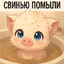 кнур theBO$$