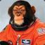 Spacemonkey