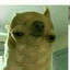 Soggy_tortilla2