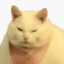 mrChonky