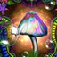 Magic Mushrooms