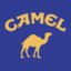 Joe Camel