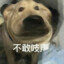 能不能站着给我打