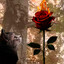 [MoZGi] | 𝐌ØⱫ𝐆ł