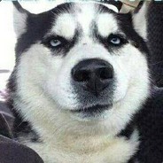 电脑玩家土茯苓