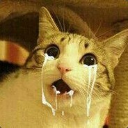 麻烦你鱼丸粗面