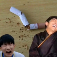 芙蓉王源天敌丁真