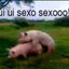 TSpirit кирпик