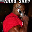 Ало, зал? Да да, мышцы