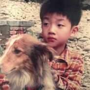 宫保丁丁历险记