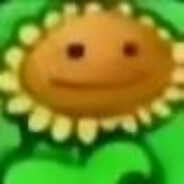 草泥马傻逼校园网