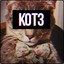 KOT3 csgopositive.com